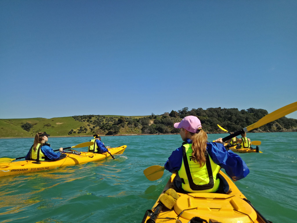 Featured image for “Auckland Sea Kayaks”